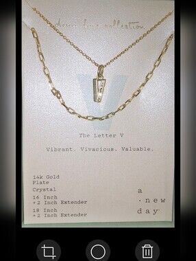 NWT in box A New Day Letter V pendant and TWO Gold Tone Necklaces 16" & "18